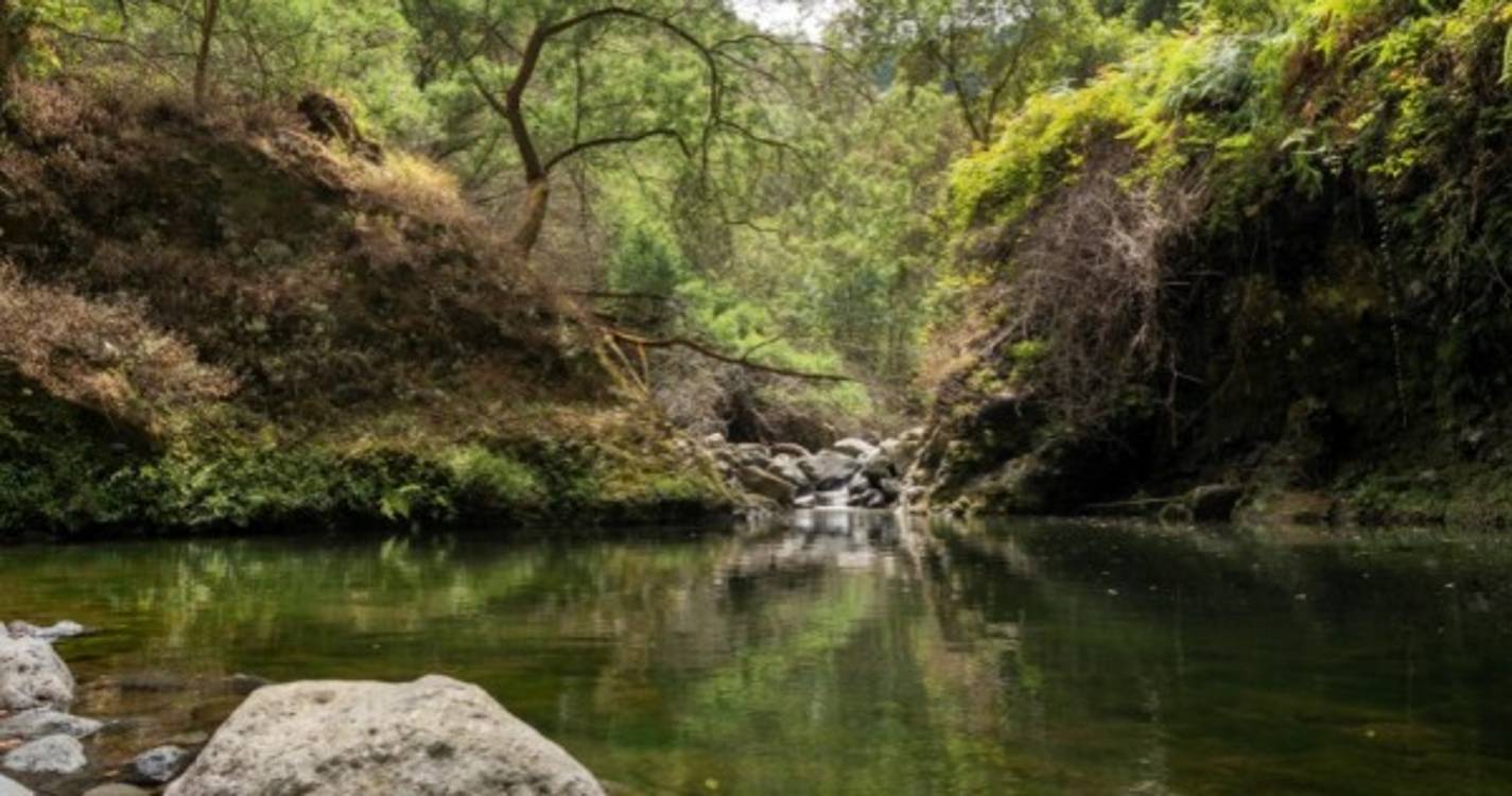 Poço e cascata em pleno coração de São Roque do Faial por descobrir (com fotos)