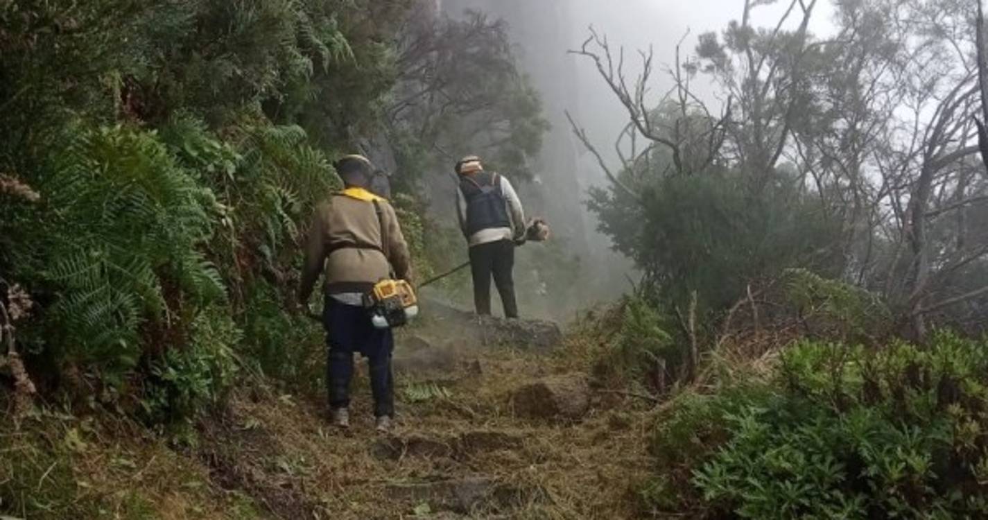 IFCN investe cerca de 61 mil euros na limpeza de percursos pedestres