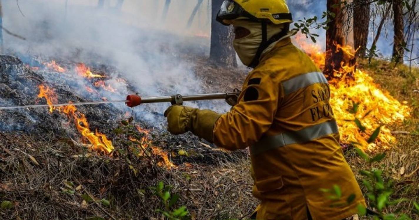 Incêndios: Governo decide hoje se prolonga situação de contingência