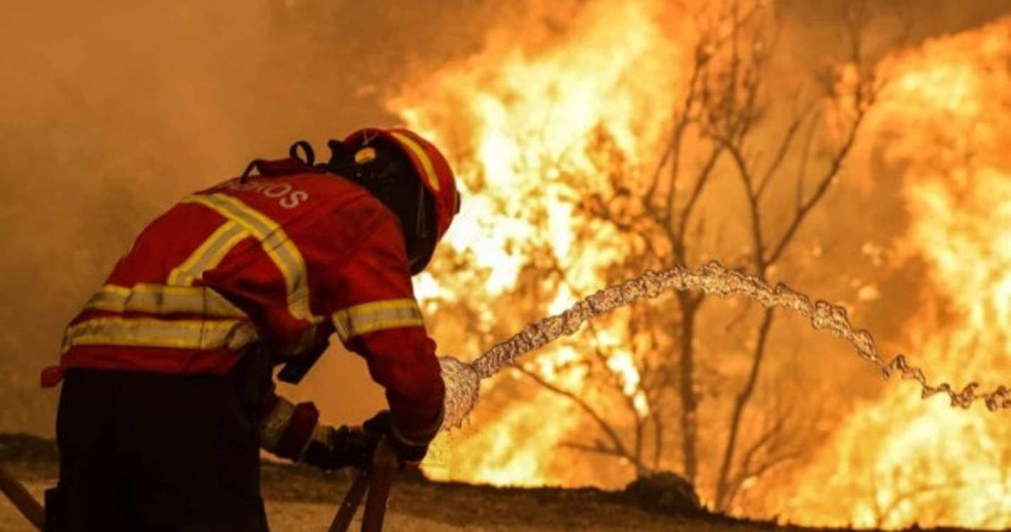 Incêndios: Mais de 40 concelhos de seis distritos em perigo máximo