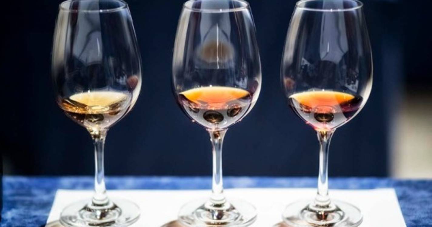 Madeira entre os grandes vencedores do Top 10 Vinhos Portugueses