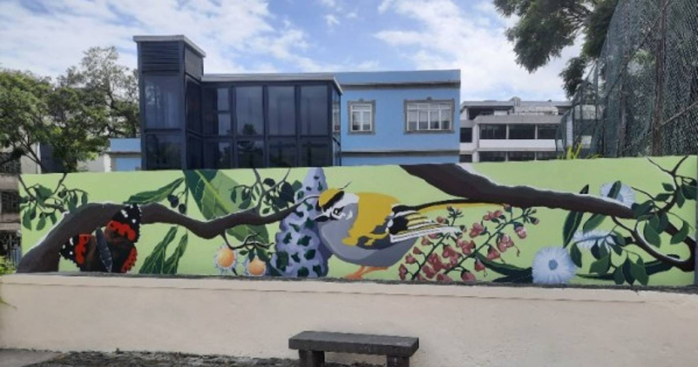 'Muros com Vida' da Francisco Franco distinguido a nível nacional