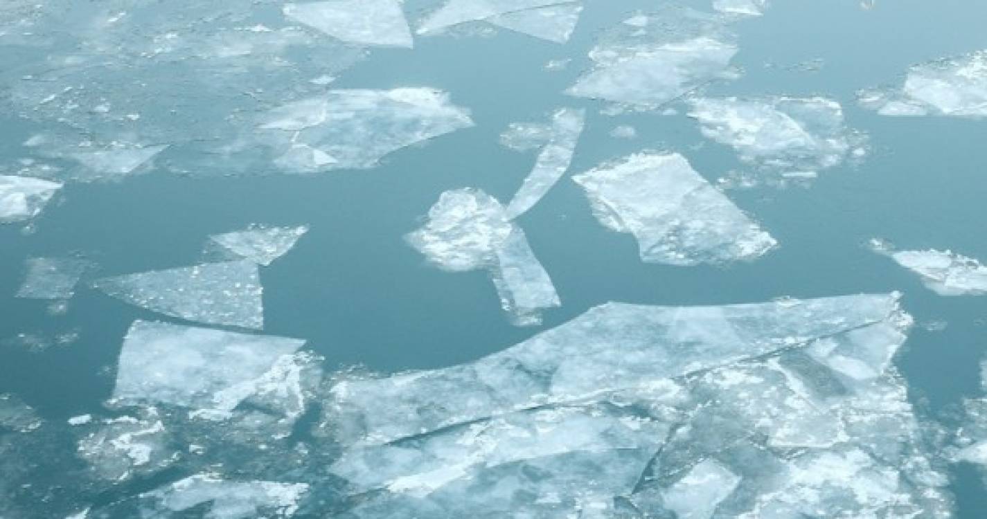 Estudo indica que o Oceano Ártico poderá ficar sem gelo no verão a partir de 2030