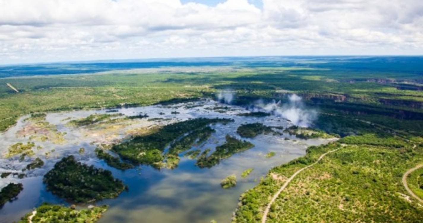 Dinossauro mais antigo de África foi descoberto no Zimbabué