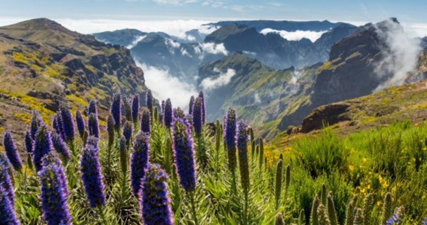 Saiba como vai estar o tempo esta quinta-feira