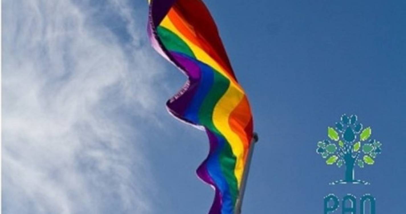 PAN Madeira considera que ainda vivemos numa sociedade imensamente fóbica