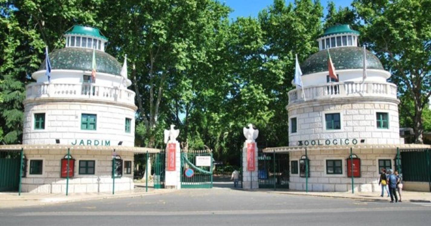 Jardim Zoológico alerta para burla no Facebook em nome da instituição