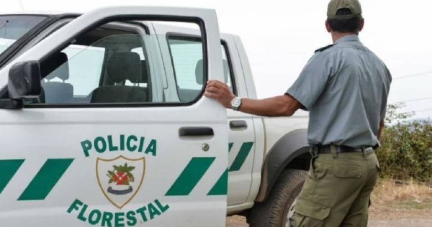 Policia Florestal deteve três indivíduos por crimes de caça