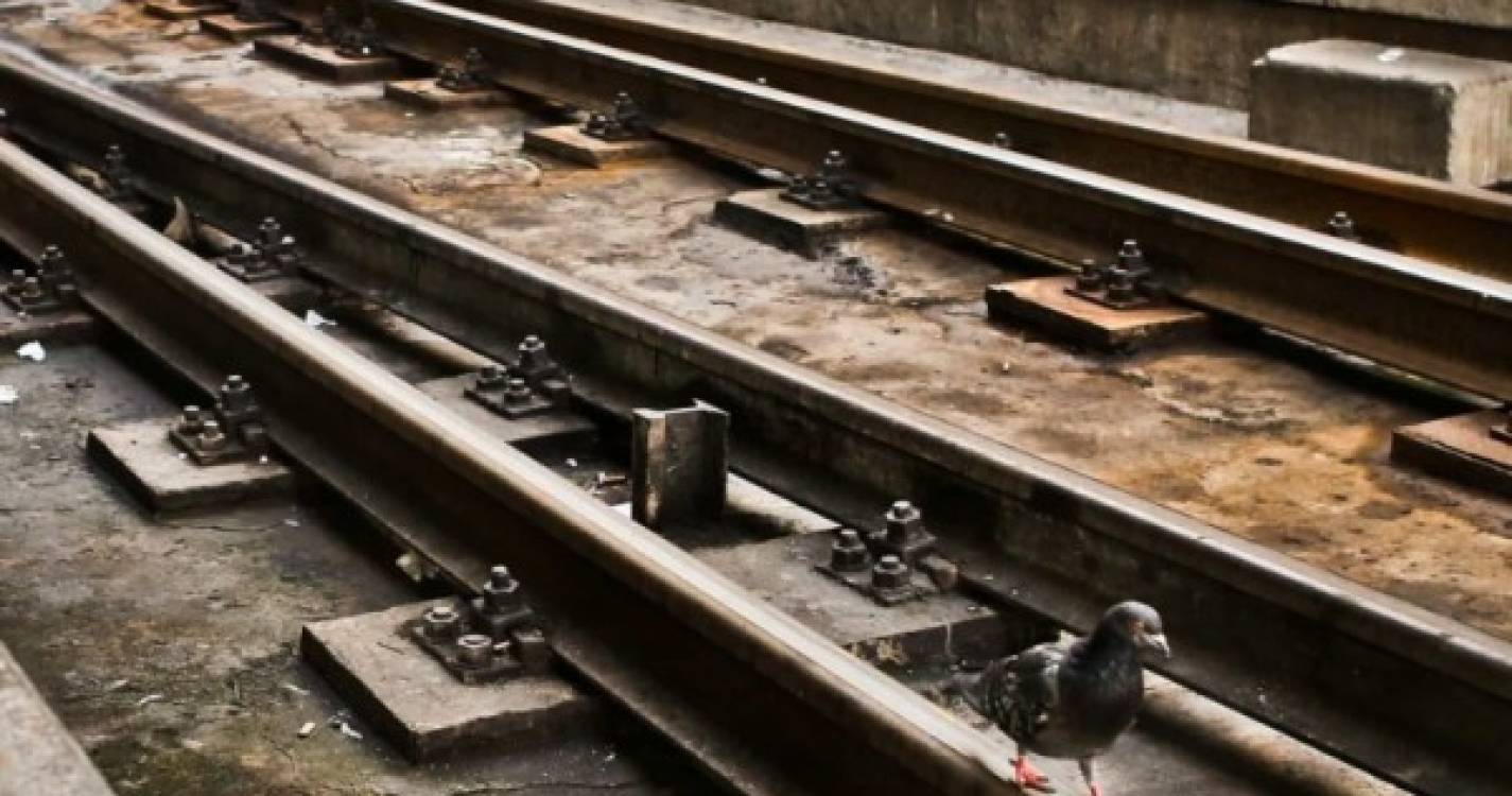 Colisão entre dois comboios faz pelo menos 50 feridos na República Checa