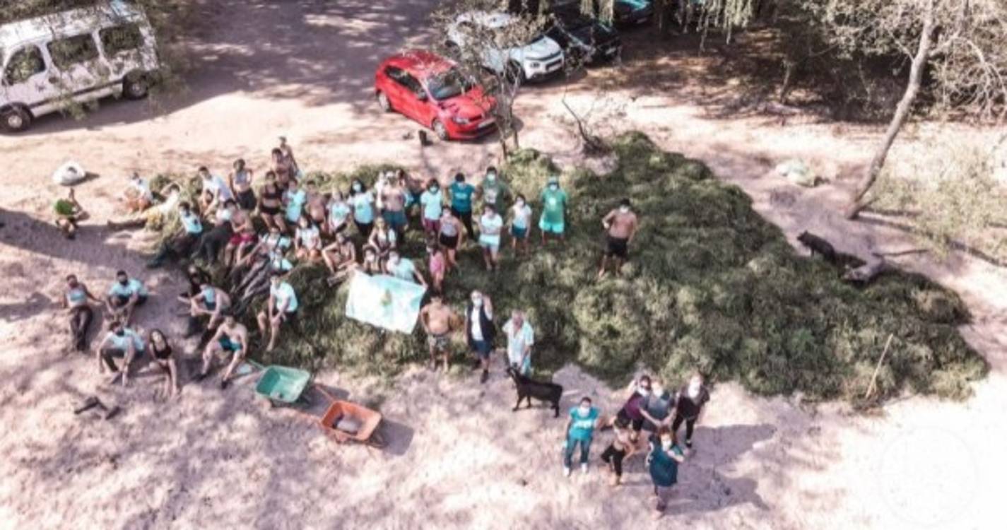 Incêndios: Fogo em Estarreja afetou micro-reservas da associação BioLiving