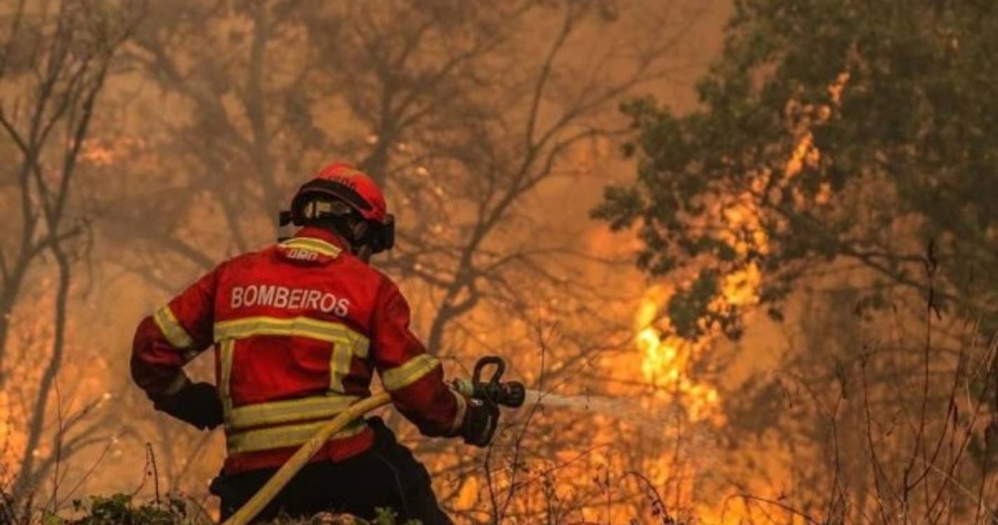 Sete concelhos do distrito de Faro em perigo máximo de incêndio