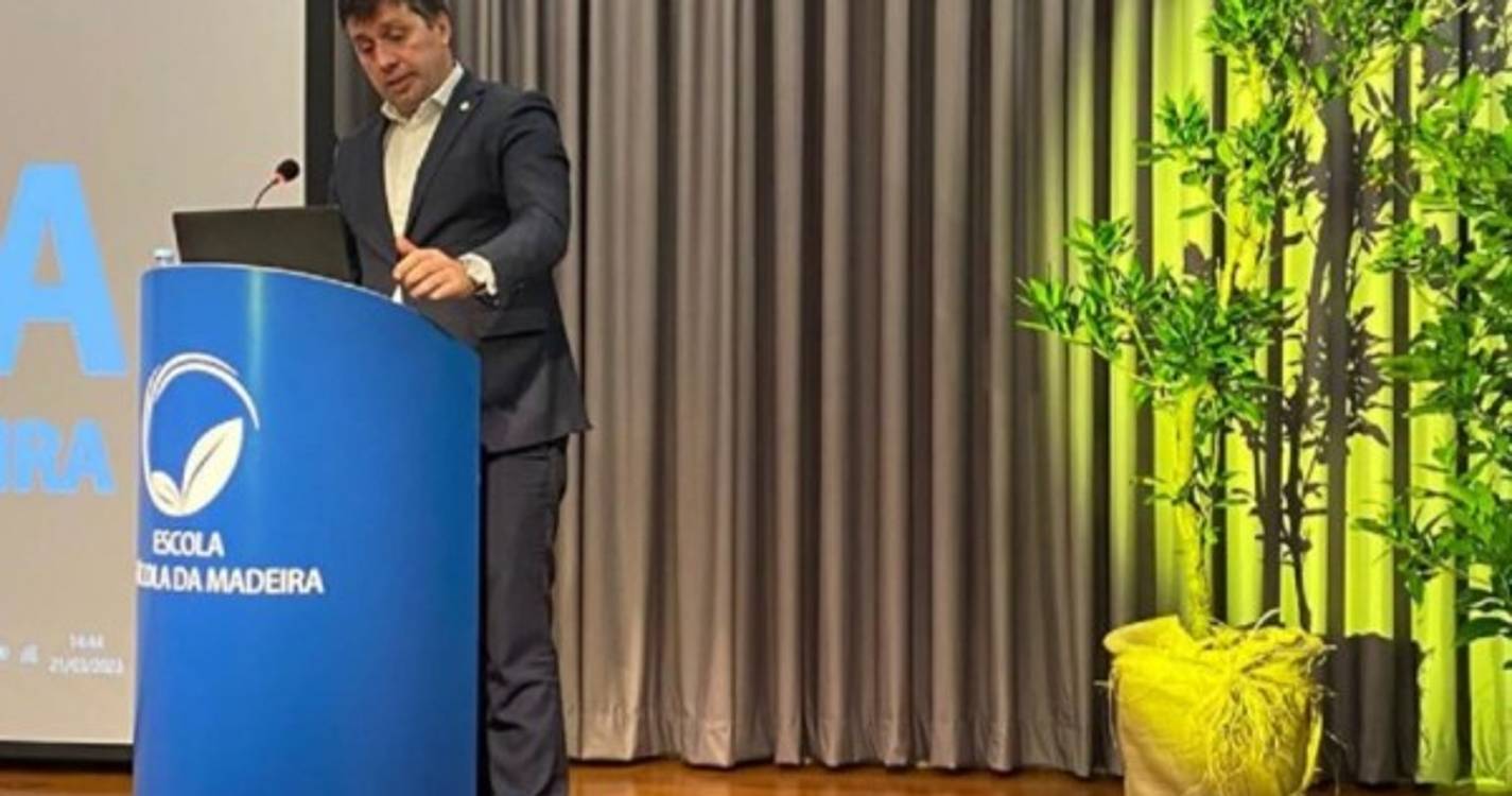 Garcês diz que Laurissilva só faz sentido se a pudermos visitar