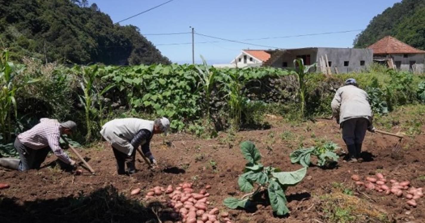 Ramo agrícola cresceu 2,8% em 2021 na Região