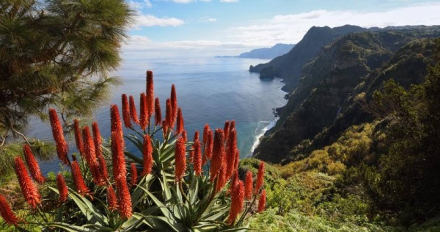 Santana renova galardão da UNESCO como Reserva da Biosfera por mais 10 anos