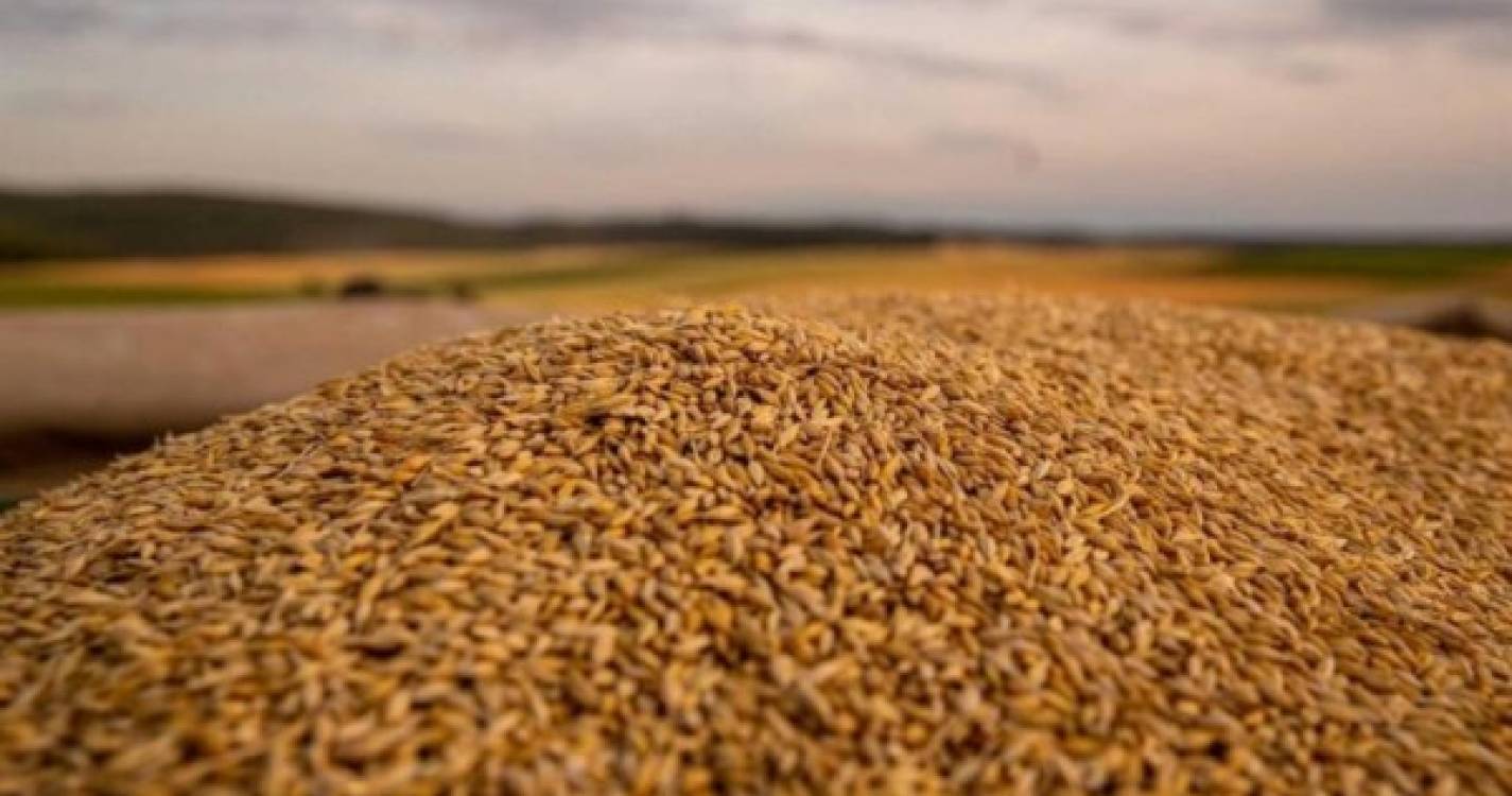 EUA anunciam compra de 66,8 ME de trigo ucraniano para doar a países pobres