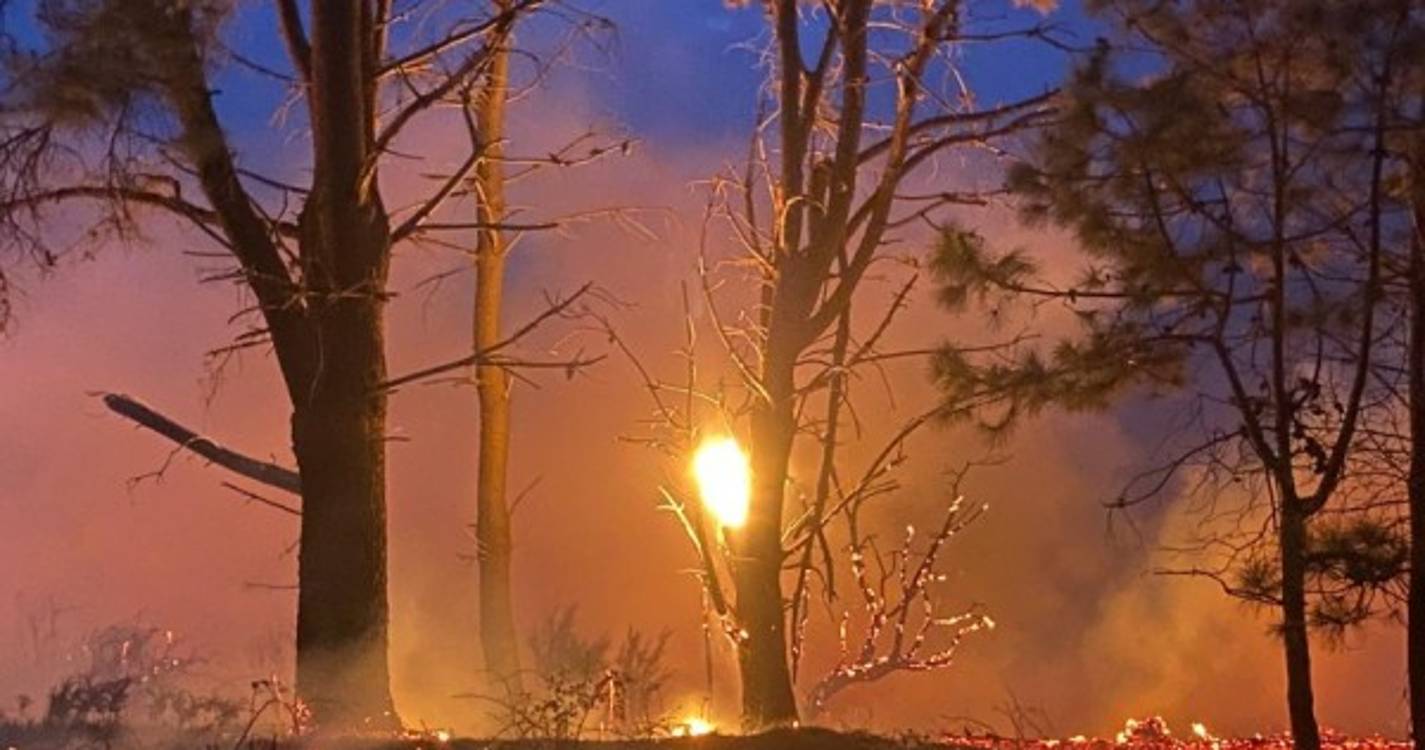 Drone mostra chamas a ameaçar casas nos Prazeres