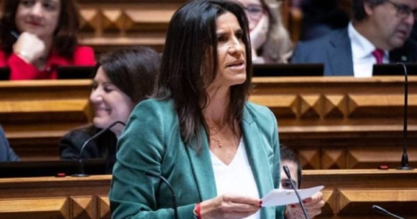 Líder parlamentar do PSD nega tratamento diferenciado a Patrícia Dantas devido a processo judicial