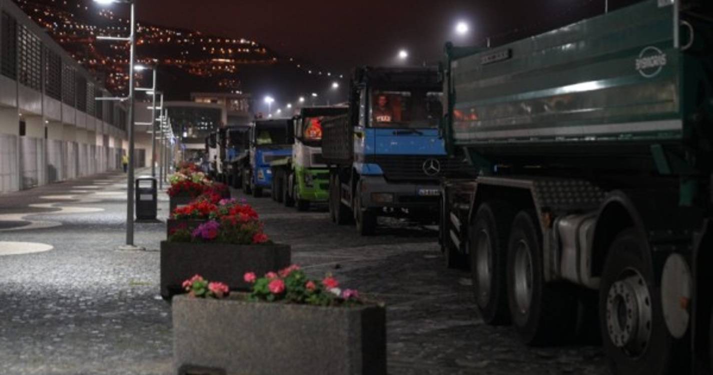 Camiões ‘enchem’ porto do Funchal para a descarga de gado vivo (com fotos)
