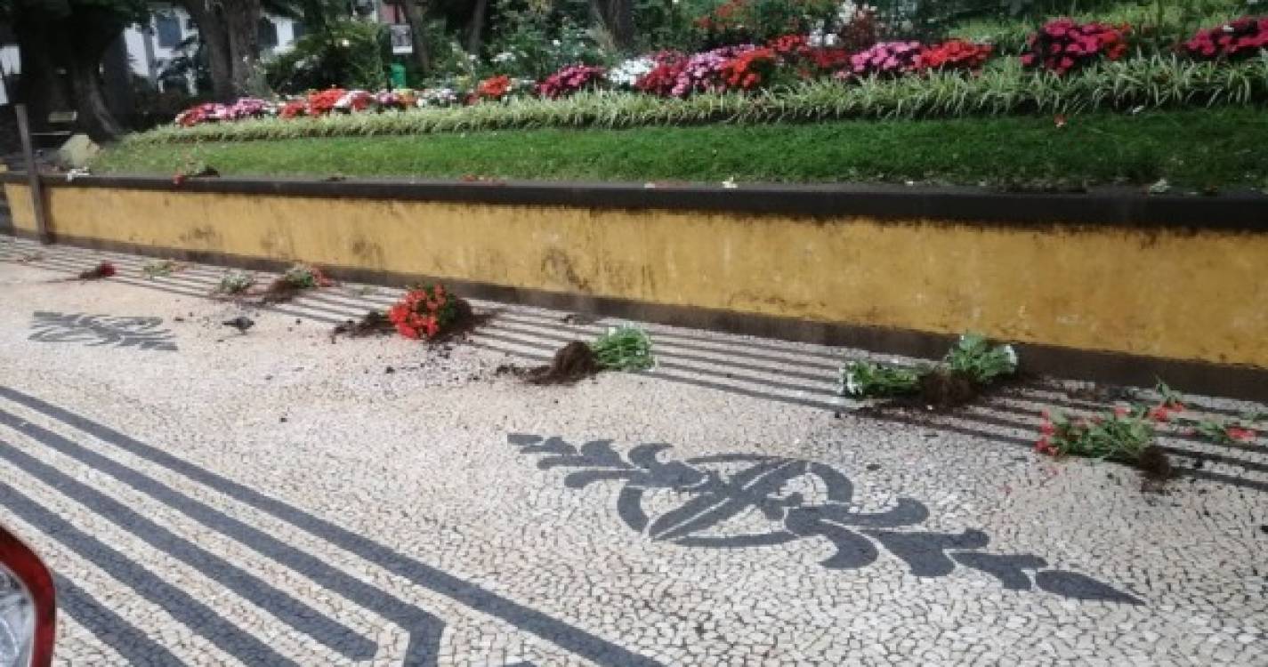 Vandalismo nos jardins do Funchal esta noite