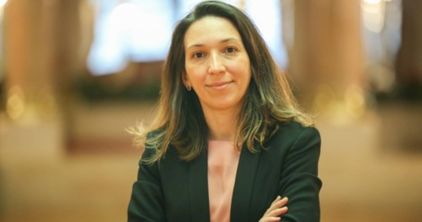 PS defende adaptação dos apoios agrícolas do PAC à Região