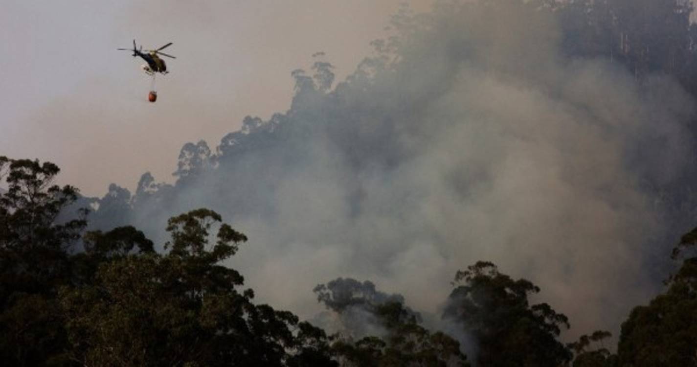 Incêndios: Plano Operacional de Combate da Madeira entra hoje em vigor
