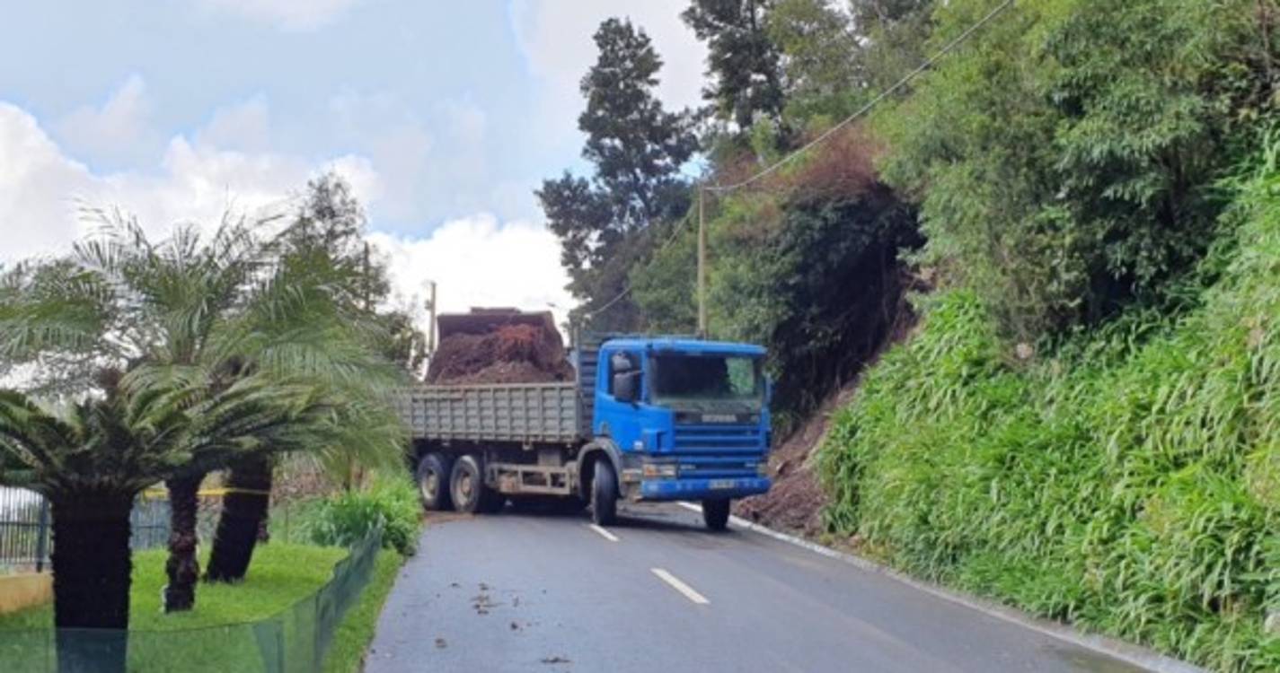 Limpezas decorrem por toda a costa norte