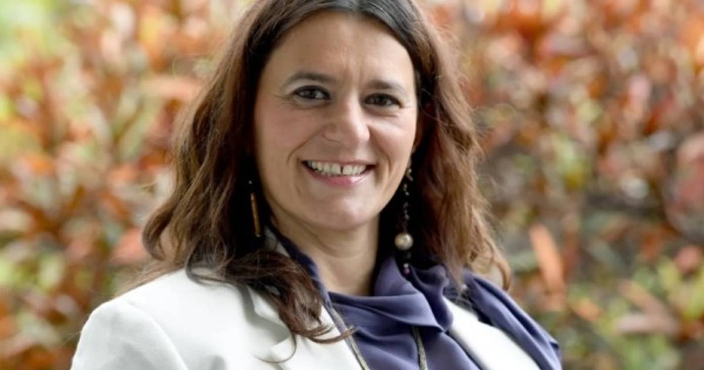 PS recusa-se a "trabalhar no escuro"