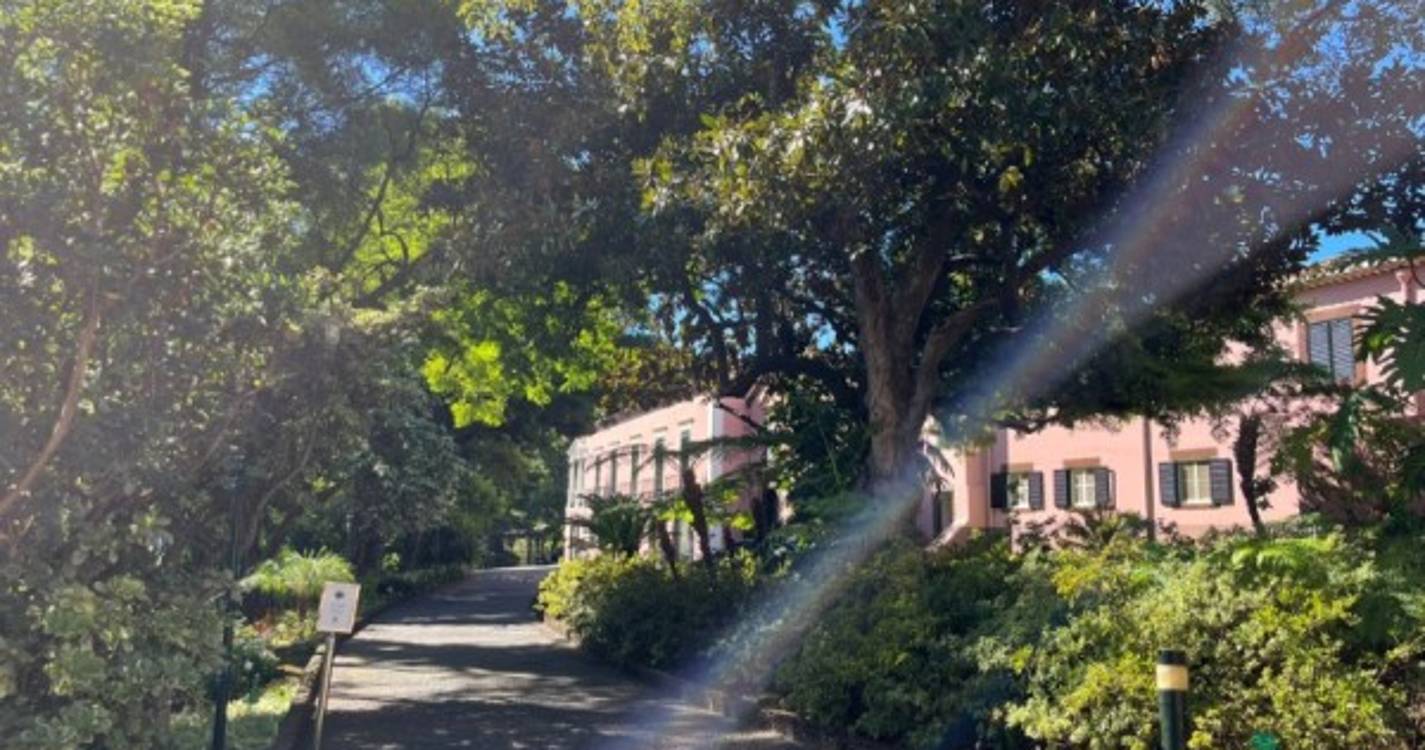 Rogério Gouveia e Pedro Fino abandonam Quinta Vigia