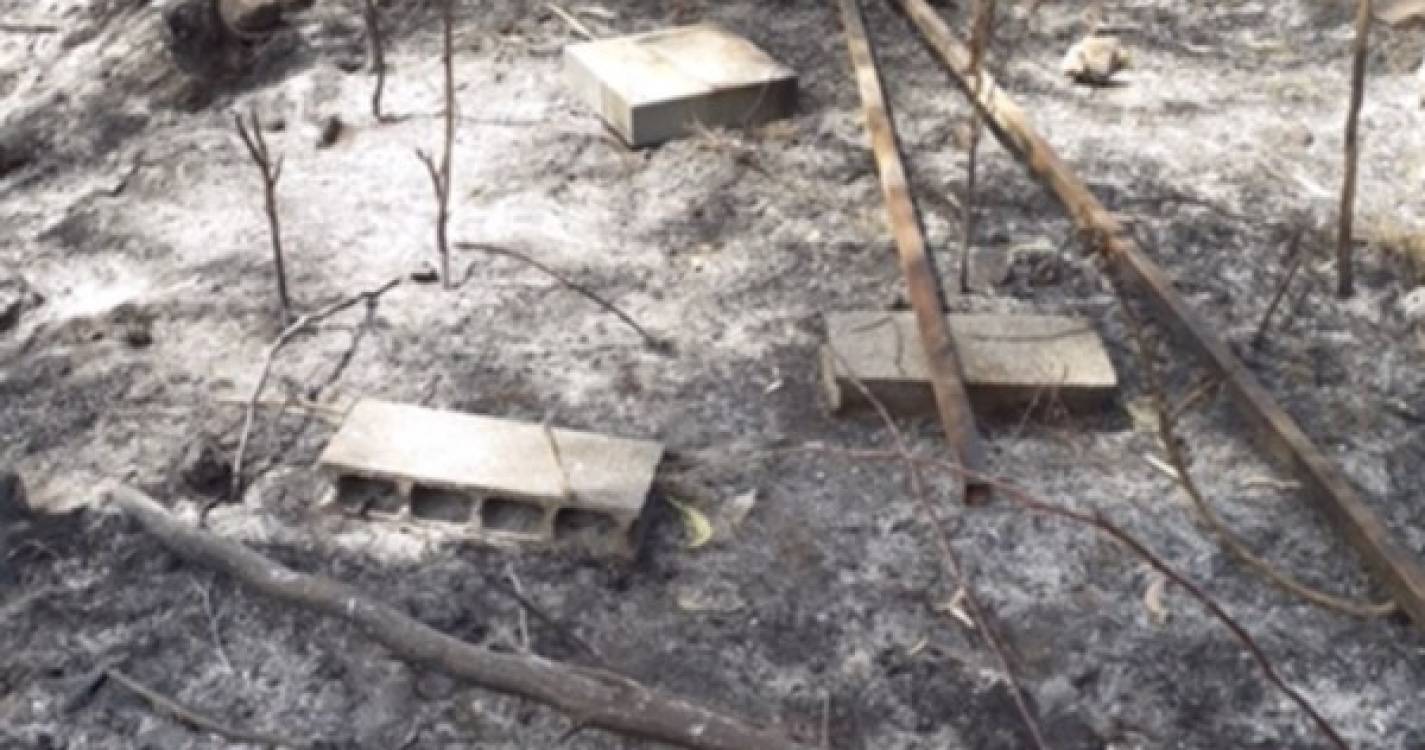Incêndio de 16 de agosto destruiu 37 colmeias em Machico