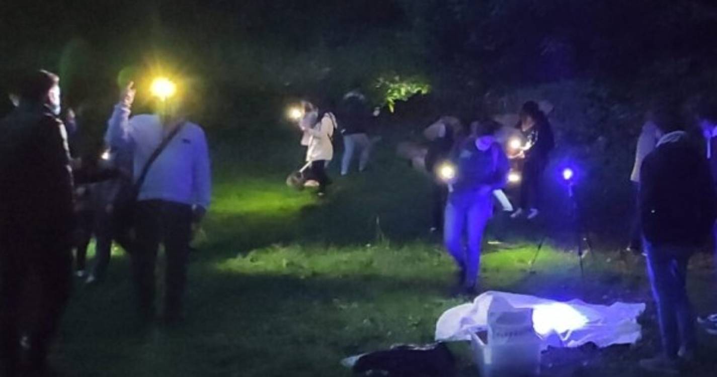 Cidadãos já podem mapear a biodiversidade noturna