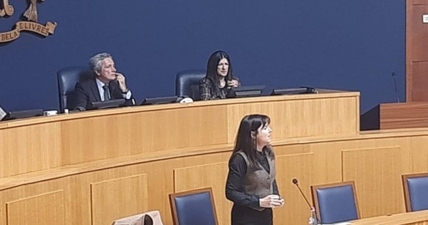 &#34;Nem todos os gatos do Pico Ruivo são selvagens&#34;