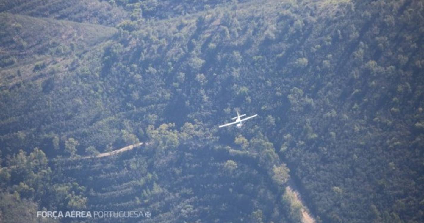 Força Aérea interceta aeronave suspeita