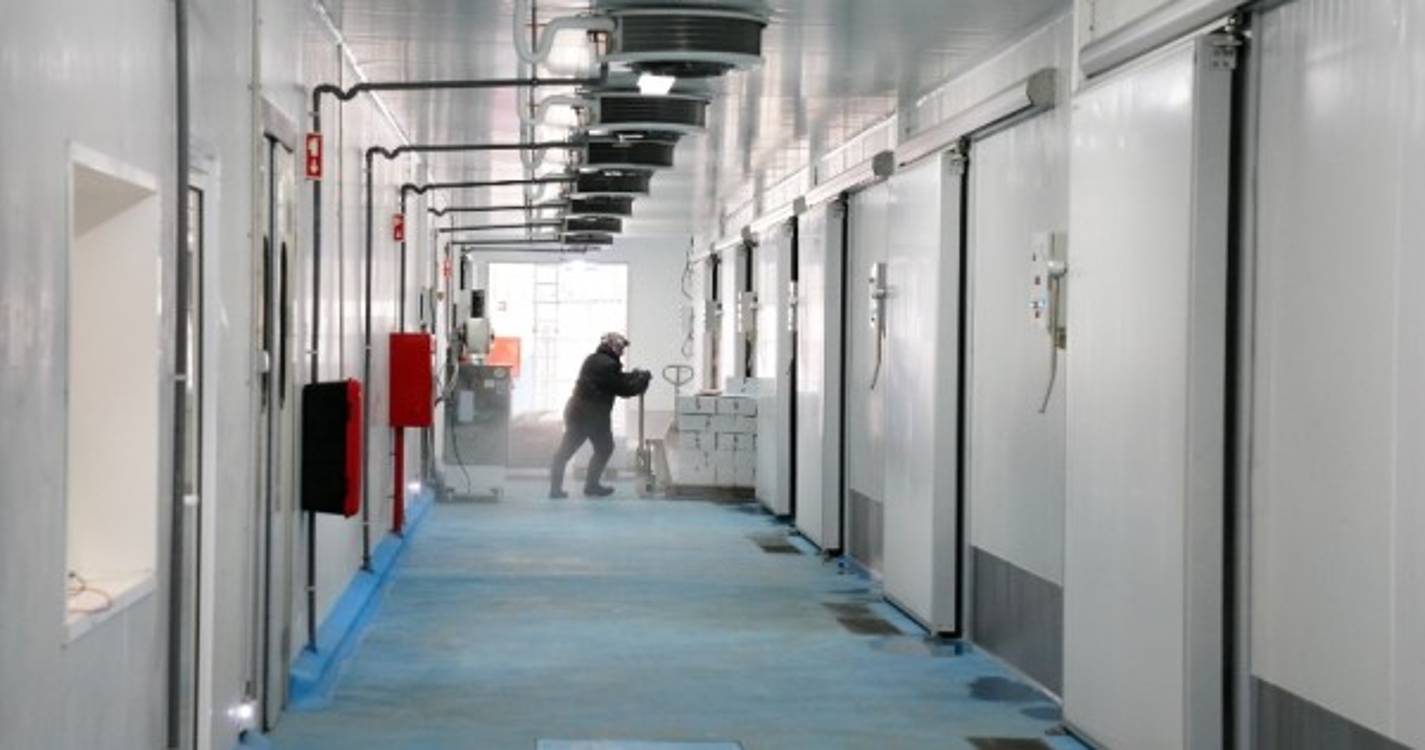 Grupo Vidinha inaugura em setembro novas instalações