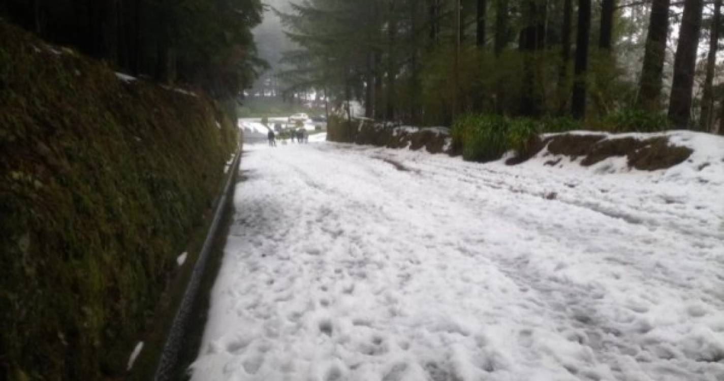 Saiba quais as estradas encerradas ou condicionadas devido à queda de neve