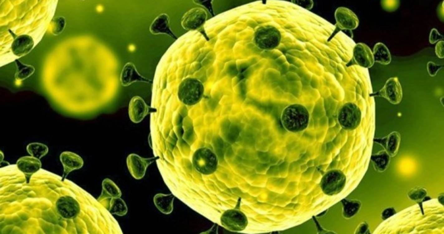 Açores com 24 novos casos e 41 recuperações