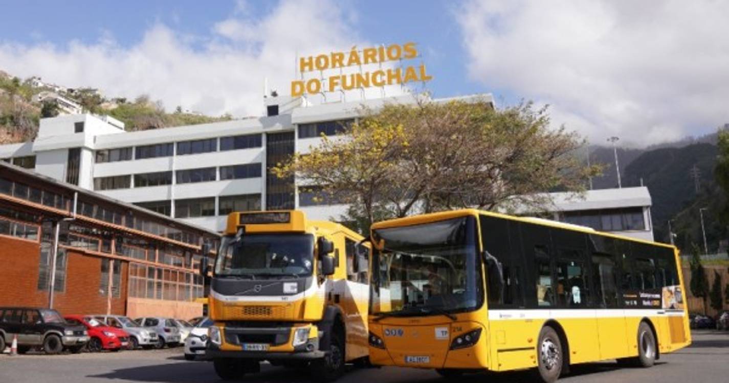 Serviço Eventual para a Festa Nossa Senhora do Livramento - Curral das Freiras