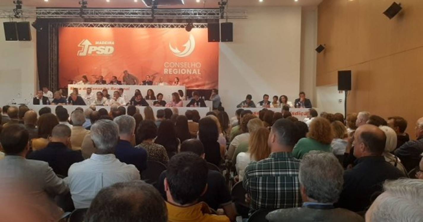 Oposição julga o passado e PSD está dinâmico a olhar para o futuro