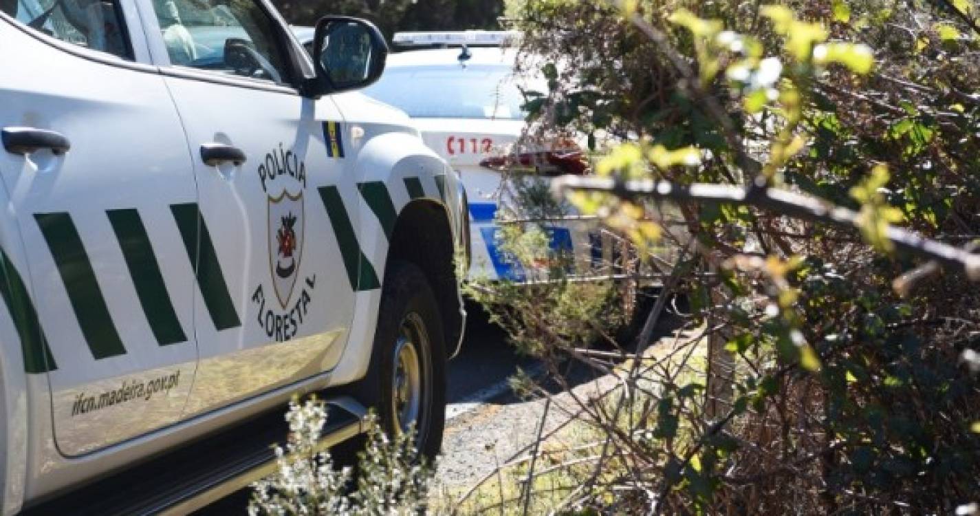 Polícia Florestal identifica dois indivíduos por extração ilegal de pedra na Calheta