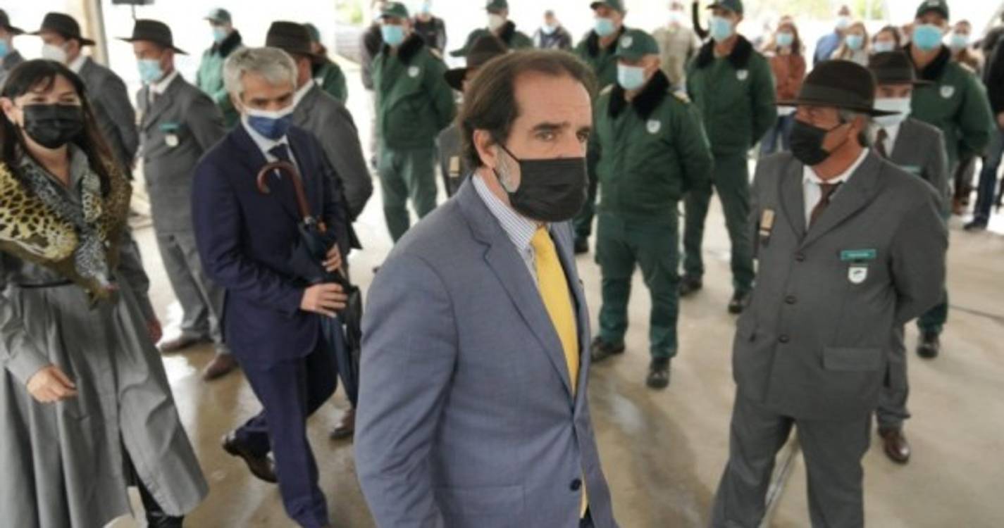 Covid-19: Testes subsidiados pelo Governo apenas para quem apresente sintomas