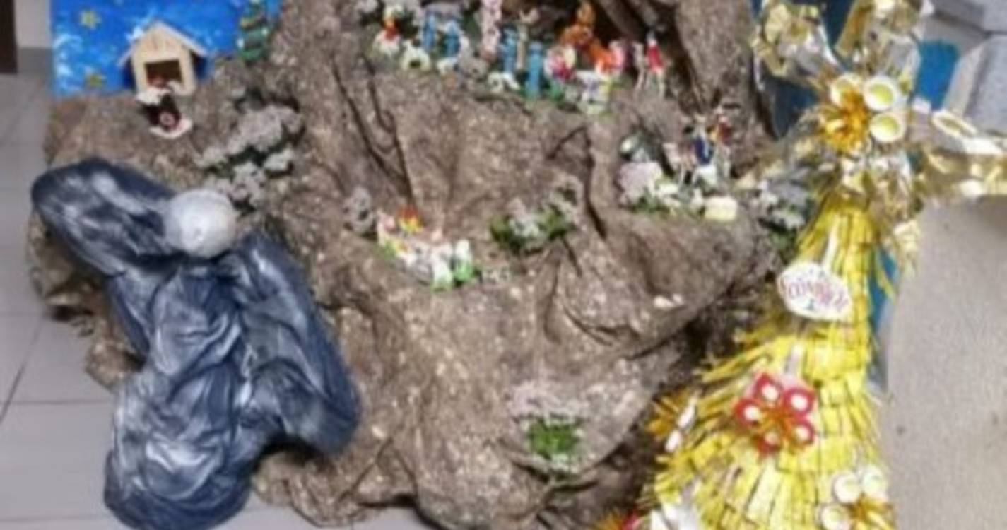 Estabelecimentos de ensino madeirenses entre as premiadas do Programa Eco-Escolas