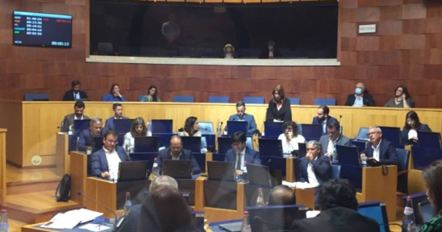 "O que fez a Câmara do Funchal em oito meses pelos sem abrigo?", interroga Sofia Canha