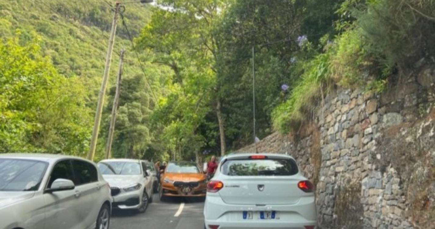 Ligeiro toque entope o trânsito no Ribeiro Frio