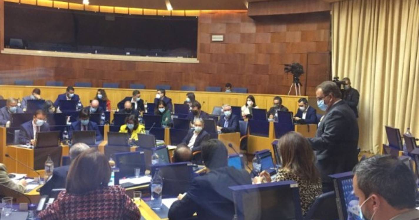 Unanimidade em redor de Lourdes de Castro