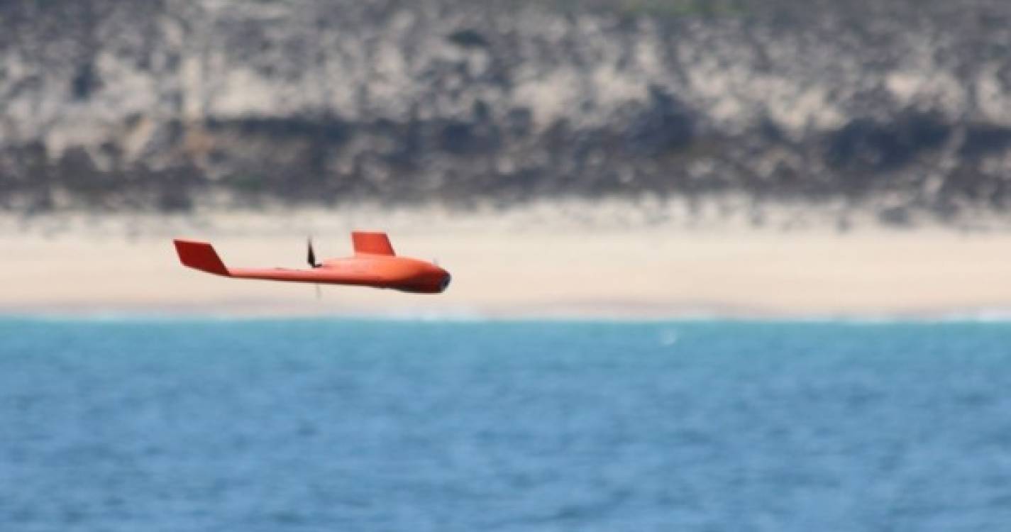 Marinhas de 17 países da NATO testam &#34;'drones' do mar&#34; em águas portuguesas