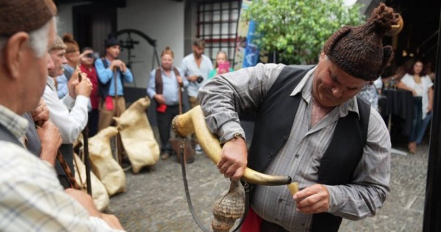 'Blandy's Wine Festival' encerra com arraial madeirense (com fotos)
