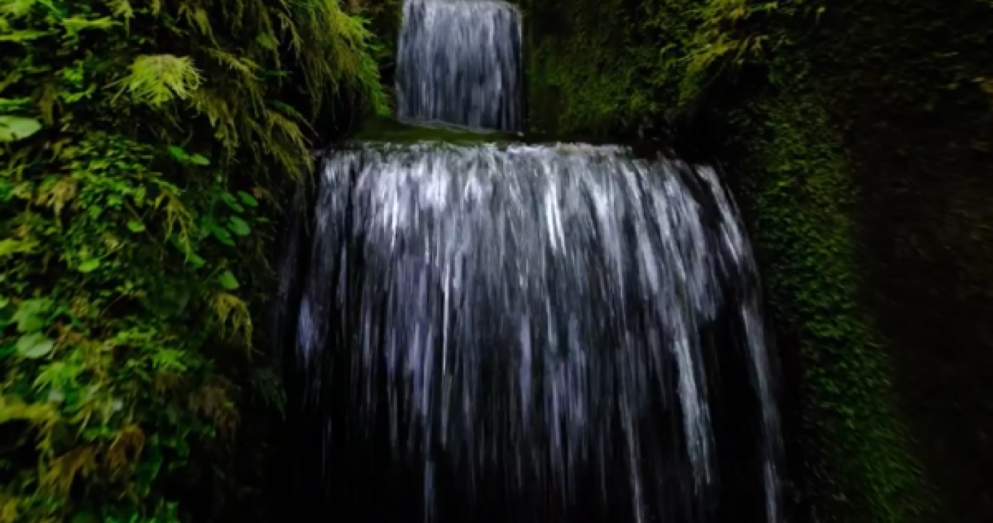 ARM lança vídeo sobre o valor da água na Madeira, com o nómada Jackson Groves