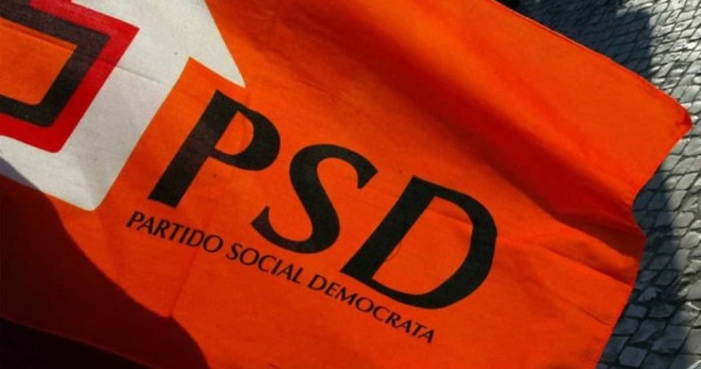 PSD: Machico com uma estreia e Calheta com uma renovação
