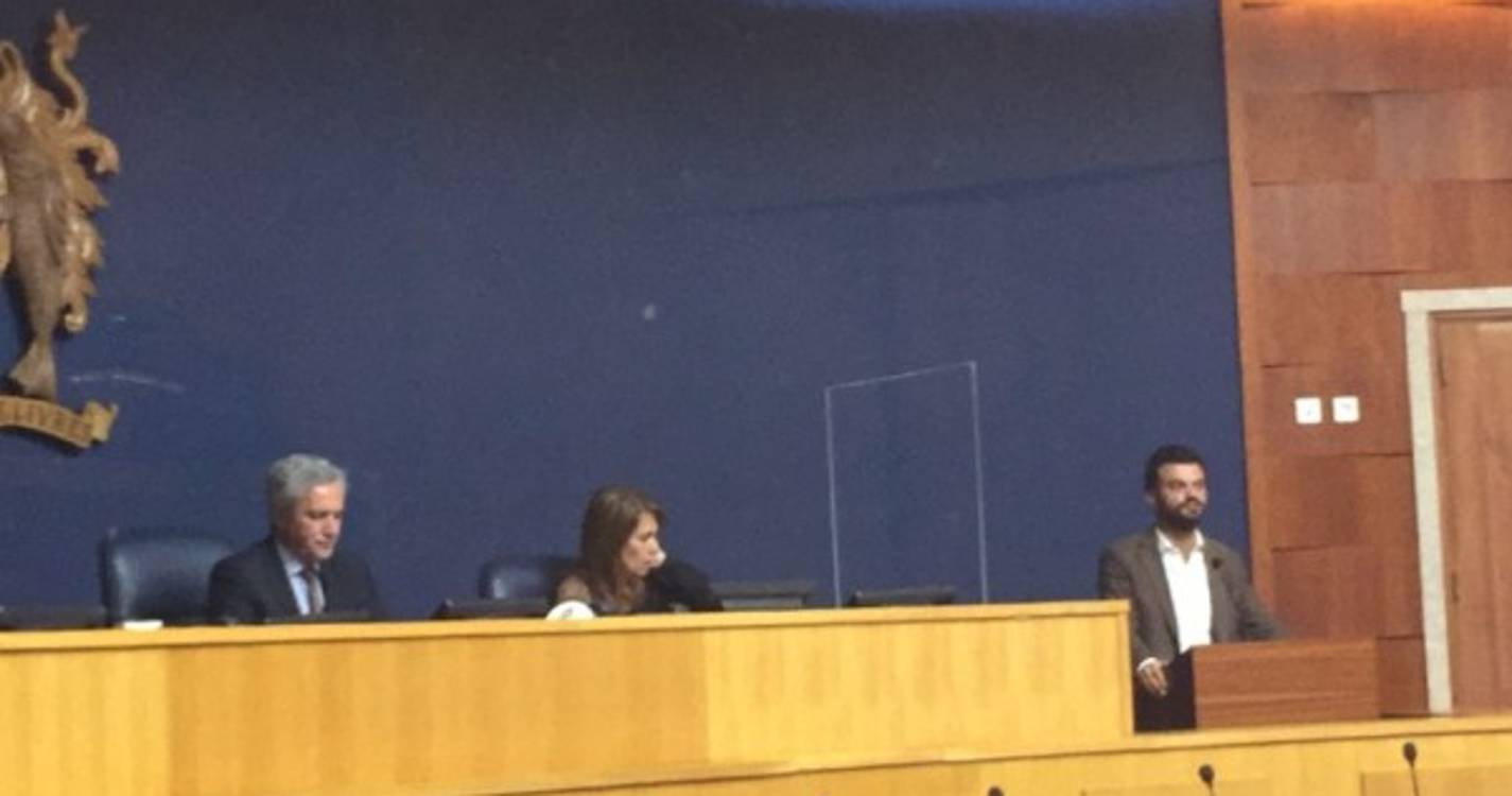 PCP reivindica criação e modernização de rede de recolha de animais