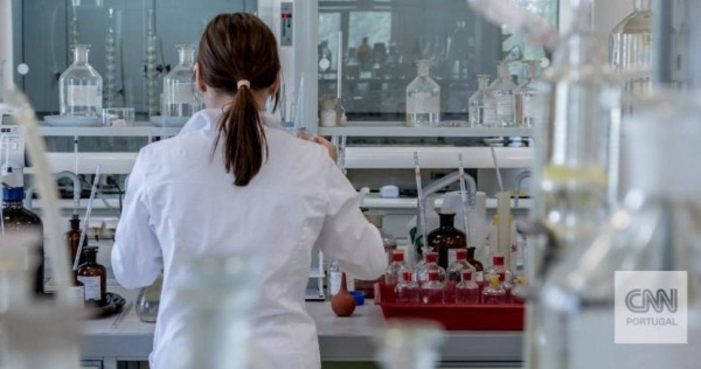 Investigadores desvendam método que impede progressão do cancro do pâncreas