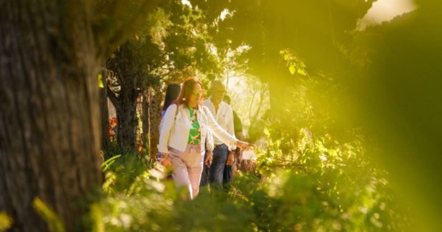 Wine Tours Madeira celebra oito anos e apresenta novos 'tours'